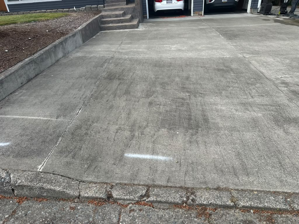 Driveway Cleaning Project #1 before