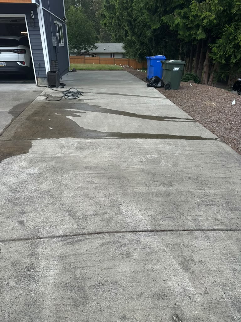 Concrete Cleaning Project #2 before