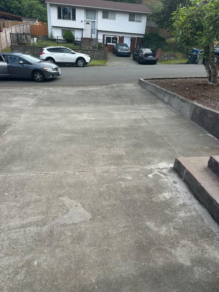 Driveway Detail Cleaning #4 after